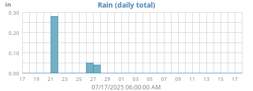 Rain